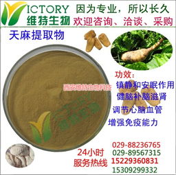 西安维特生物科技 多图 天麻提取物安眠 天麻提取物高清图片 高清大图