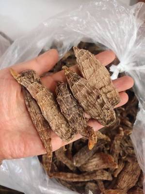 长白山野生干天麻