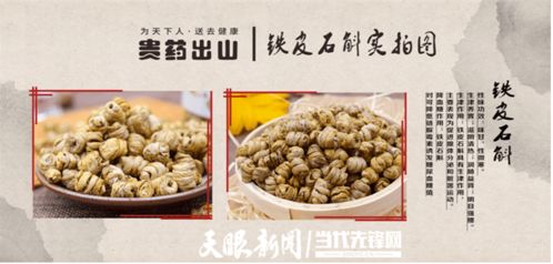 让 贵山珍草 成为乡村振兴的 助推器