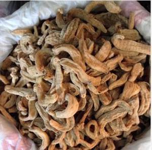 【无硫磺 天麻 【小】】价格_厂家_图片 -