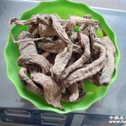 秦岭下山纯正特级野生干天麻.