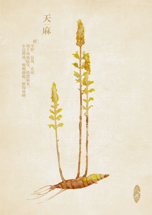 我的收藏