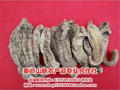 宿迁野生天麻_秦岭山脉农产品质量好_野生天麻厂家批发_野生天麻哪家好_世界工厂网