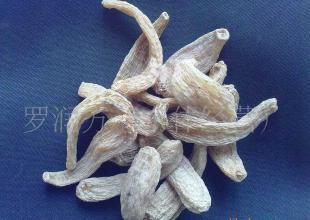 云南丽江天麻(目前接受预定,产期到可发货)_医药、保养_世界工厂网中国产品信息库