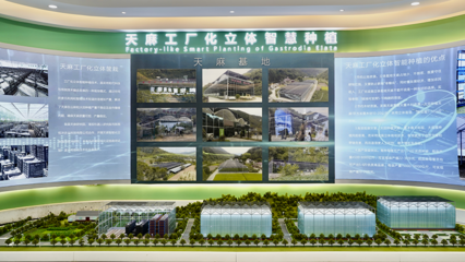 高质量发展看汉中 | 天麻之城:略阳示范园展现中药材的未来之路