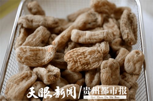 协与携的变奏 黔货出山进军营 溢出辐射效应初显