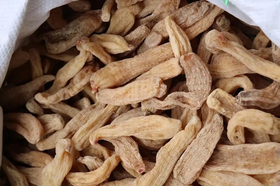 40头云南丽江中号红天麻,1斤93,5斤88,10斤83,3