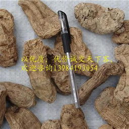 野天麻 贵州野生特级麻 16 22个 公斤 产地 贵州省