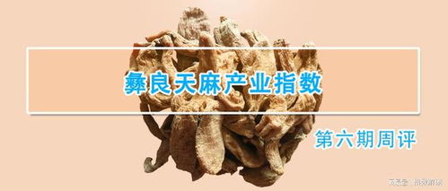 彝良天麻产业指数第六期周评
