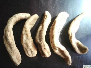 大量天麻图片