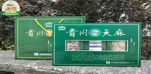 森山黔缘 贵州天麻