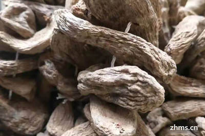 天麻需要削皮吗