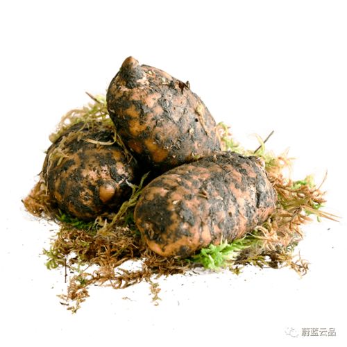 有料 冬季滋补食材到货,集美们安排起来