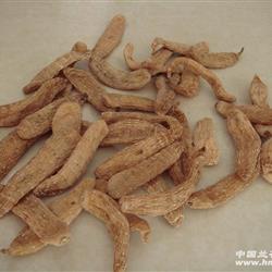 东北天麻 1斤