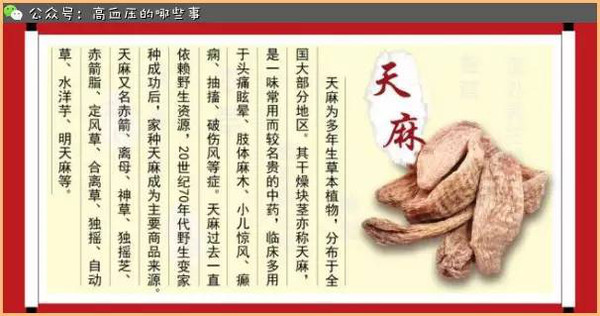 高血压食疗推荐中药--天麻