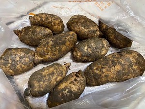 鲜天麻乌鸡汤