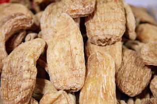 前方高能 你汤里的这种补品是吃蘑菇长大的