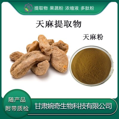 天麻提取物的功效、应用与前景