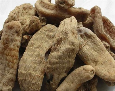 天麻药用价值与贵州金茂生物科技的天麻优势