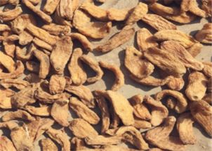 天麻的功效、食用方法与禁忌人群