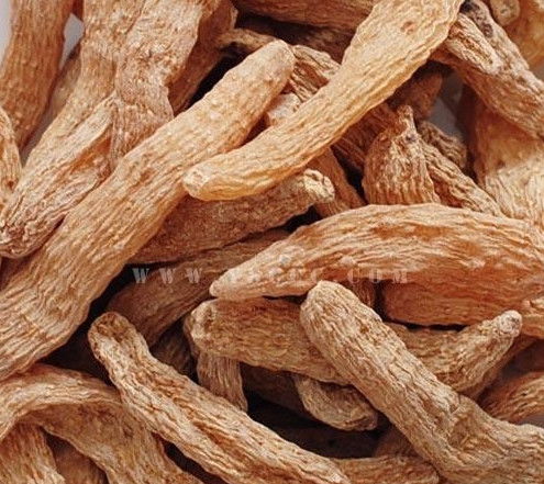 空气能热泵天麻烘干机 温湿度精准控制与节能环保新选择