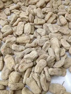 天麻 功效解析与现代应用