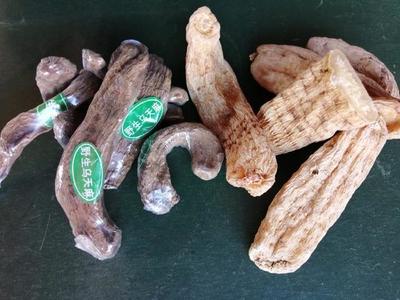 决定天麻质量的四个核心因素