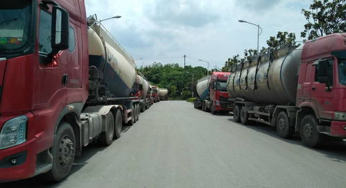 物流部支招 水泥厂如何有效防范天麻产品流失